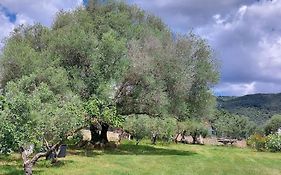 Olbia Grazioso Bilo In Periferia
