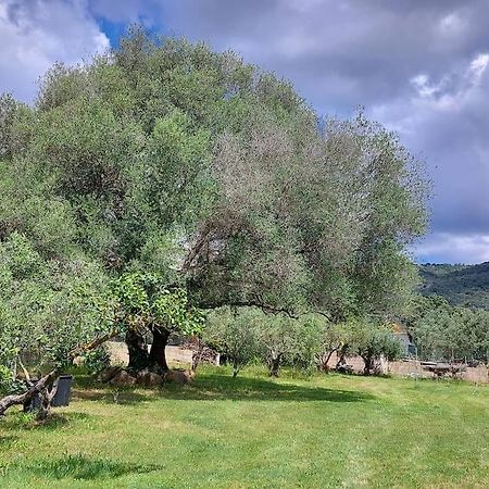 Olbia Grazioso Bilo In Periferia Villa Sole Ruiu Esterno foto