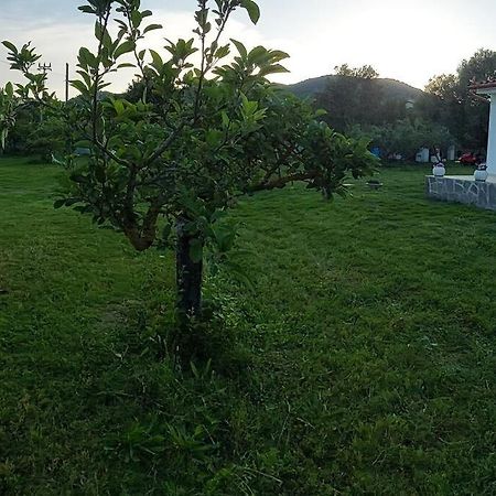 Olbia Grazioso Bilo In Periferia Villa Sole Ruiu Esterno foto